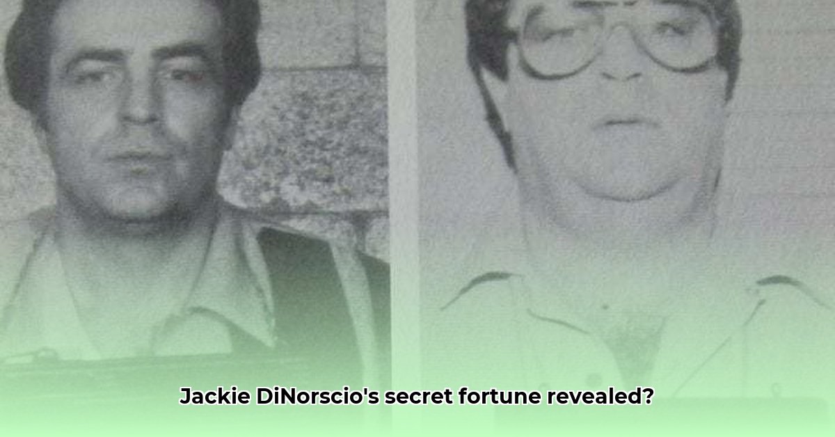 jackie-dinorscio-net-worth